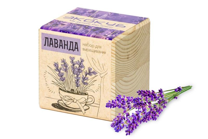 10 отличных идей эко-подарков и сувениров