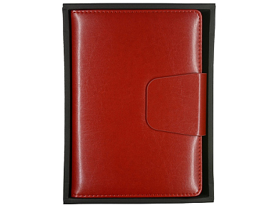 Ежедневник недатированный А5 Prestige