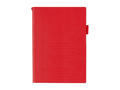 Ежедневник недатированный А5 Grand