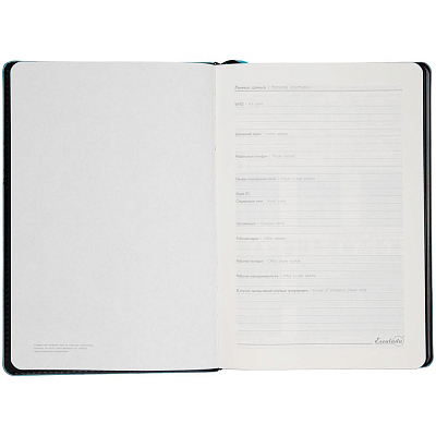 Ежедневник Alanis, недатированный, черный с голубым