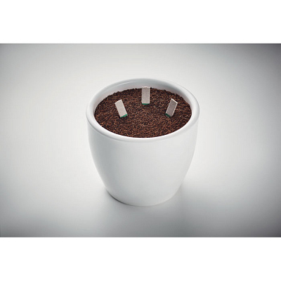 Набор для выращивания семян