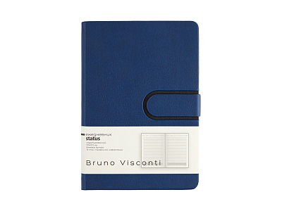 Ежедневник недатированный А5 Status