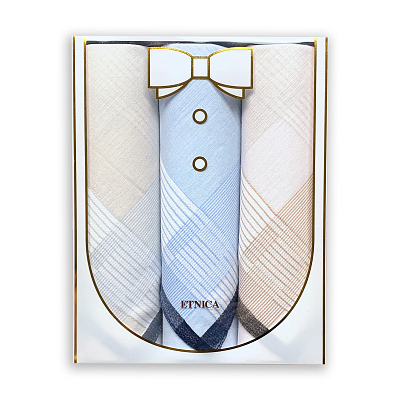 Подарочный набор мужских носовых платков "ETNICA" Пд13л