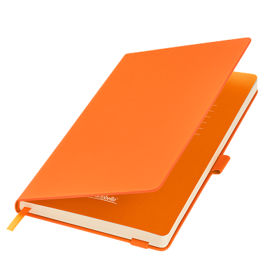 Ежедневник Alpha недатированный, оранжевый/оранжевый (Оранжевый, бежевый)