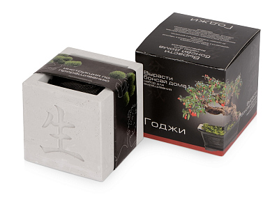 Подарочный набор Вырасти Бонсай дома. Годжи (Серый, черный, красный)