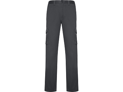 Брюки Daily Stretch, мужские (Свинцовый)