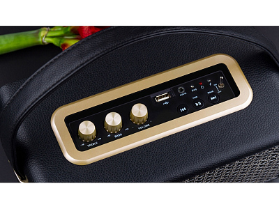 Портативная акустика Mysound Drive