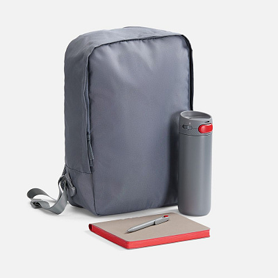 Набор Flexpen Travel  с красным (Серый)