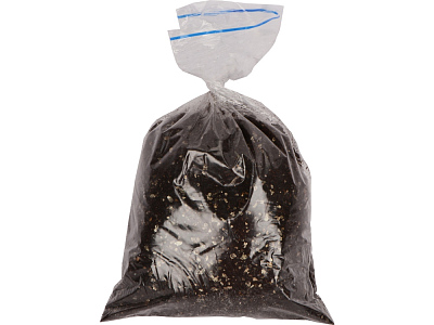 Подарочный набор Вырасти Бонсай дома. Айва Японская