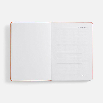 Ежедневник Basis, датированный, оранжевый