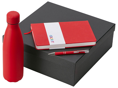 Подарочный набор Color it с блокнотом, металлической ручкой и термобутылкой (Красный)