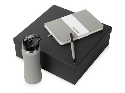 Подарочный набор c блокнотом C2, ручкой и бутылкой (Серый)