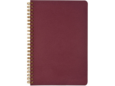 Бизнес тетрадь А5 Pragmatic