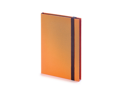 Еженедельник недатированный В6 Tango (Оранжевый)