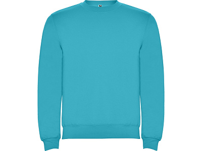 Свитшот с начесом Clasica унисекс (Бирюзовый)