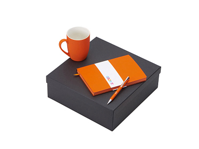 Подарочный набор COLOR IT с блокнотом, металлической ручкой и кружкой (Оранжевый)