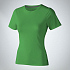 Зеленый папоротник