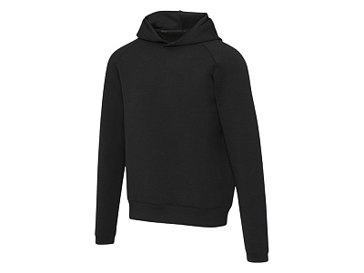 Спортивная толстовка Danali из интерлока, унисекс (Чёрный) Спортивная толстовка Danali из интерлока, унисекс (Чёрный)