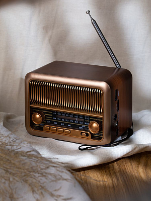 Bluetooth-колонка с радио Beatnik, коричневая