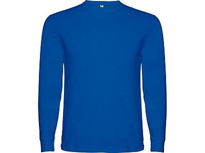 Футболка с длинным рукавом Pointer детская (Королевский синий)