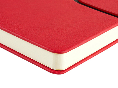 Ежедневник недатированный А5 Status