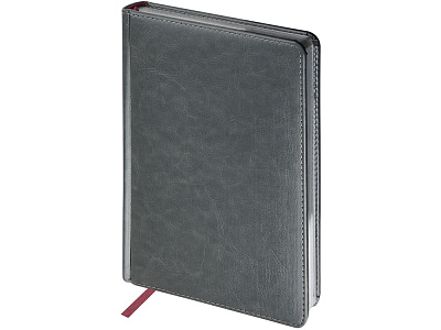 Ежедневник недатированный А5 Sidney Nebraska с серебряным срезом (Серый)