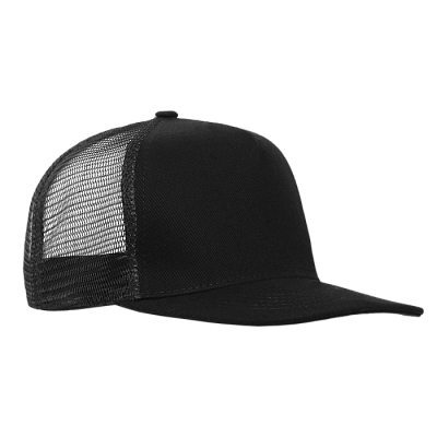 Бейсболка прямой козырёк STAN 5 клиньев хлопок 330, 09 (Чёрный) Бейсболка прямой козырёк STAN 5 клиньев хлопок 330, 09 (Чёрный)