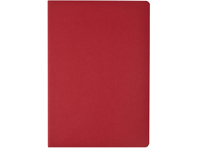 Бизнес тетрадь А5 Pragmatic