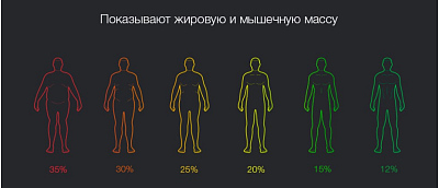 Умные весы Xiaomi Mi Body Composition Scale 2