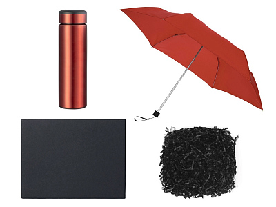 Подарочный набор с зонтом и термосом (Красный)