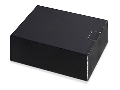 Настольный прибор Сенатор