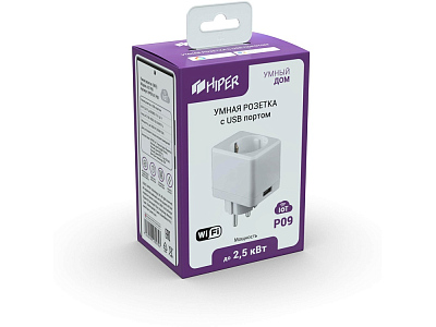 Умная розетка с USB портом IoT P09