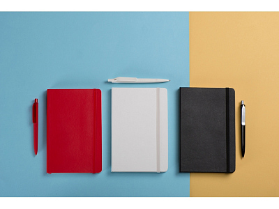 Подарочный набор Moleskine Picasso с блокнотом А5 и ручкой