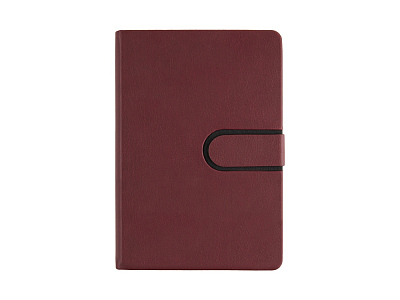 Ежедневник недатированный А5 Status