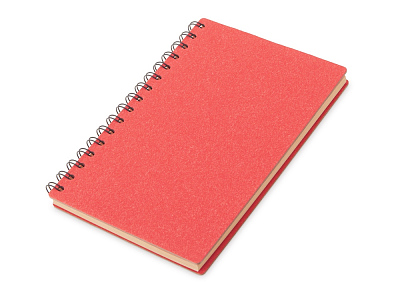 Блокнот А5 на спирали Mania (Красный)