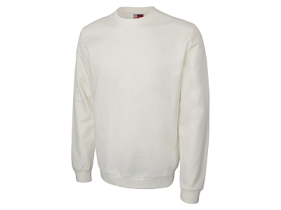 Свитшот Motion с начесом, унисекс