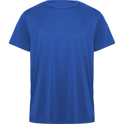 Спортивная футболка DAYTONA унисекс, КОРОЛЕВСКИЙ СИНИЙ L (Королевский синий)