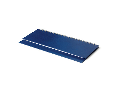 Планинг датированный Ideal New на 2025 год (Синий)