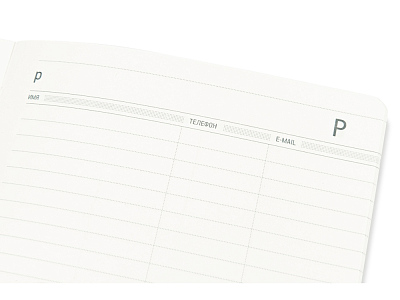 Ежедневник недатированный А5 Megapolis Flex