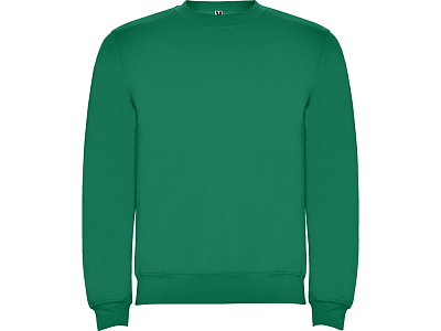 Свитшот с начесом Clasica детский (Зеленый)