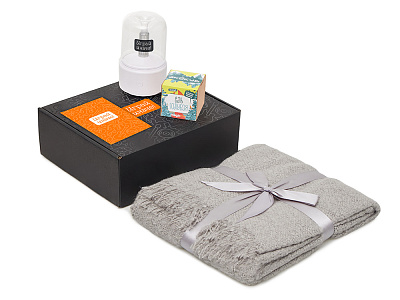 Подарочный набор Re:y. Grow с пледом, увлажнителем и набором для выращивания (Серый)