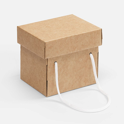 Коробка Kitbag ver.2 крафт