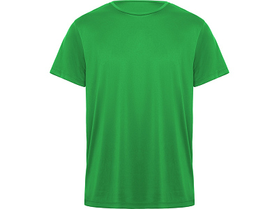 Спортивная футболка Daytona мужская (Папоротниковый)