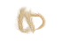 Бежевый