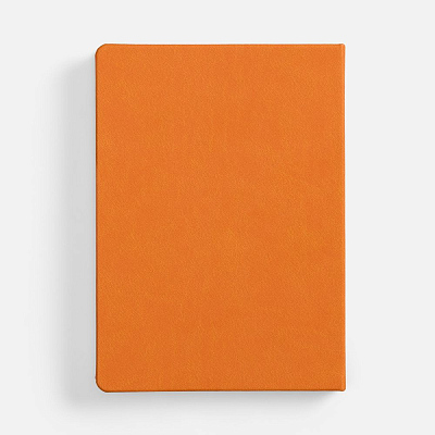 Ежедневник Basis, датированный, оранжевый