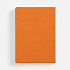 Ежедневник Basis, датированный, оранжевый - Фото 4