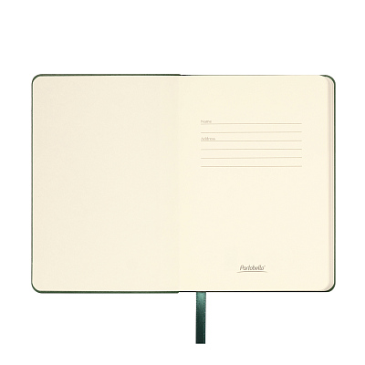 Ежедневник Спарк мини (Spark mini) A6 недатированный, зеленый