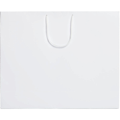 Пакет бумажный Ample Plus L, белый