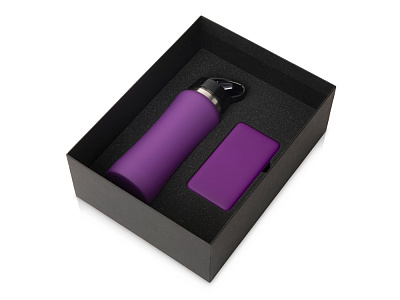 Подарочный набор COLOR IT с бутылкой для воды и повербанком  (Фиолетовый)