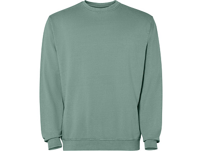 Свитшот Jaya, унисекс (Сине-зеленый выстиранный)